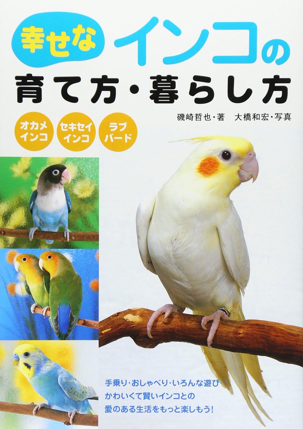 幸せなインコの育て方・暮らし方 | 磯崎 哲也, 大橋 和宏 |本 | 通販